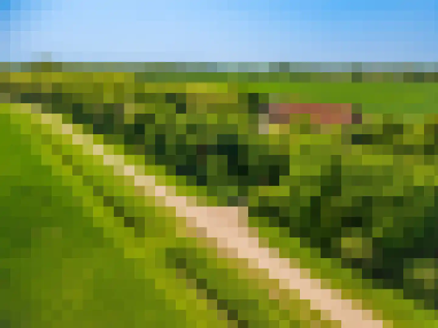 Pastorieweg 10 Nieuw Scheemda thumbnail 7