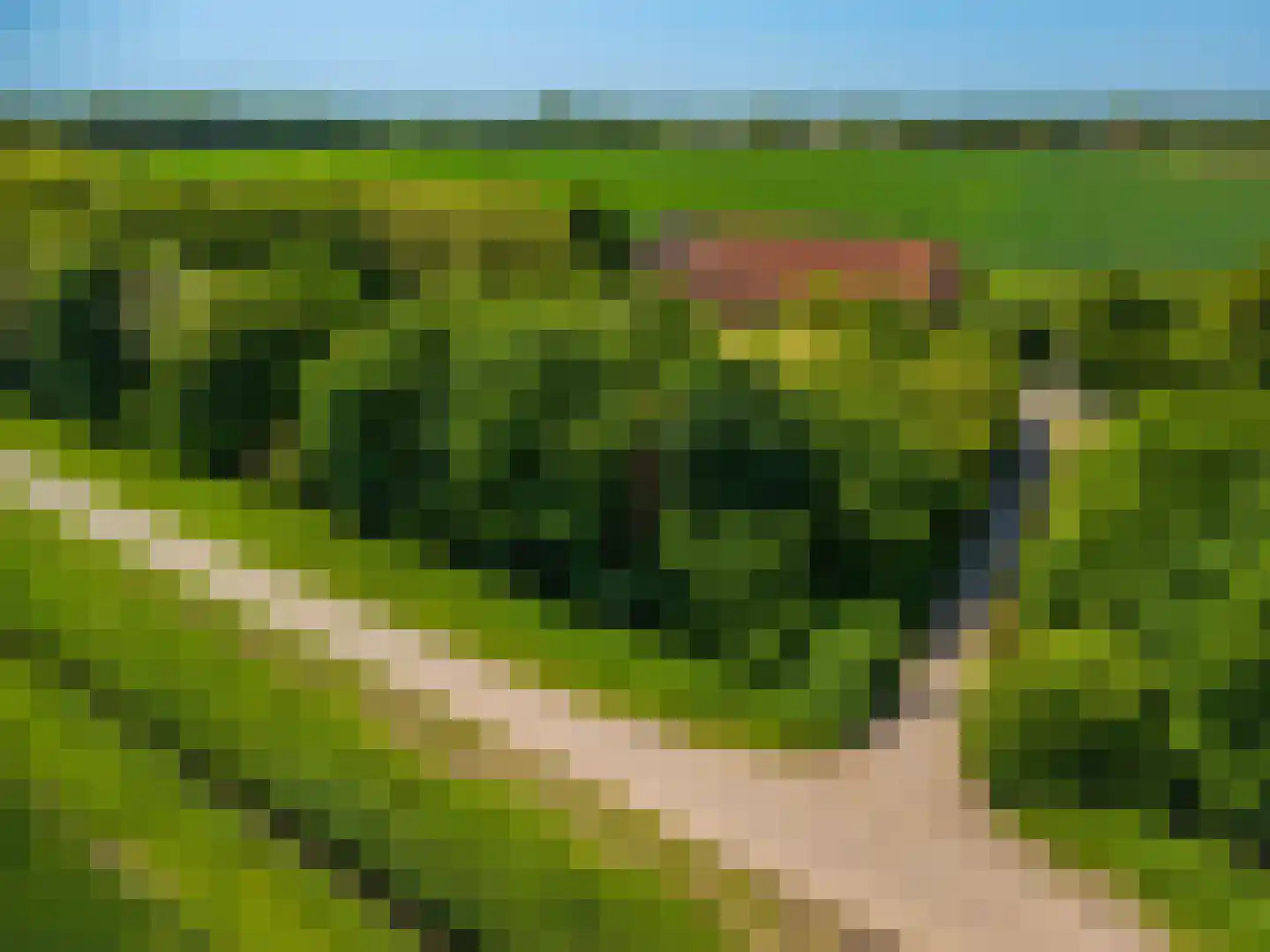 Pastorieweg 10 Nieuw Scheemda thumbnail 8