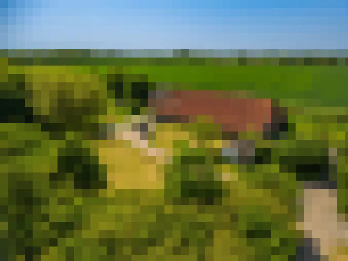 Pastorieweg 10 Nieuw Scheemda thumbnail 9