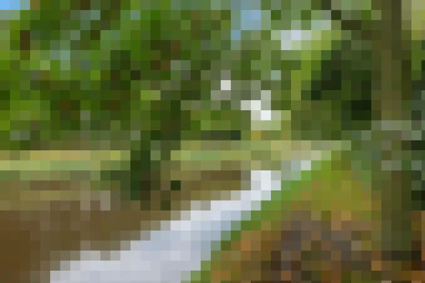 Pastorieweg 12 A Nieuw Scheemda thumbnail 31