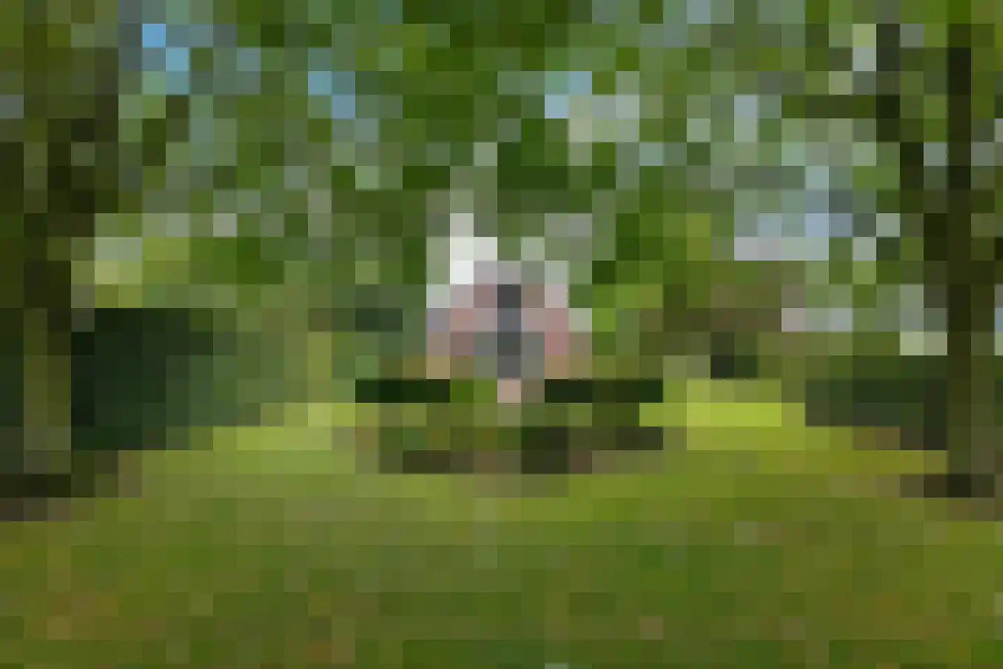 Pastorieweg 12 A Nieuw Scheemda thumbnail 32
