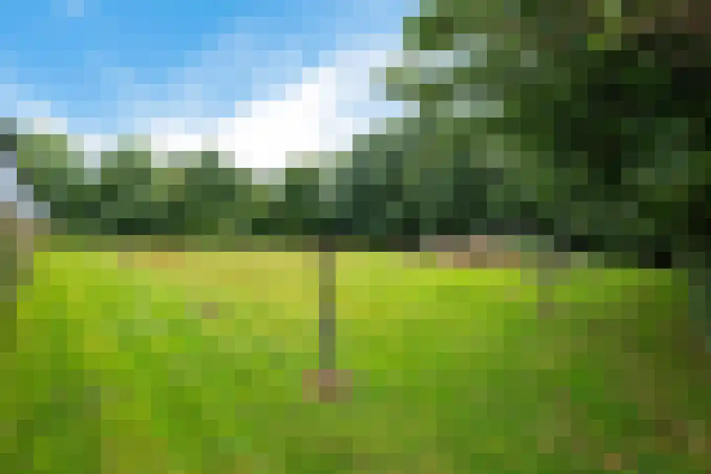 Pastorieweg 12 A Nieuw Scheemda thumbnail 37