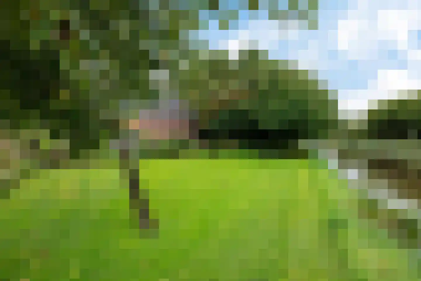 Pastorieweg 12 A Nieuw Scheemda thumbnail 40