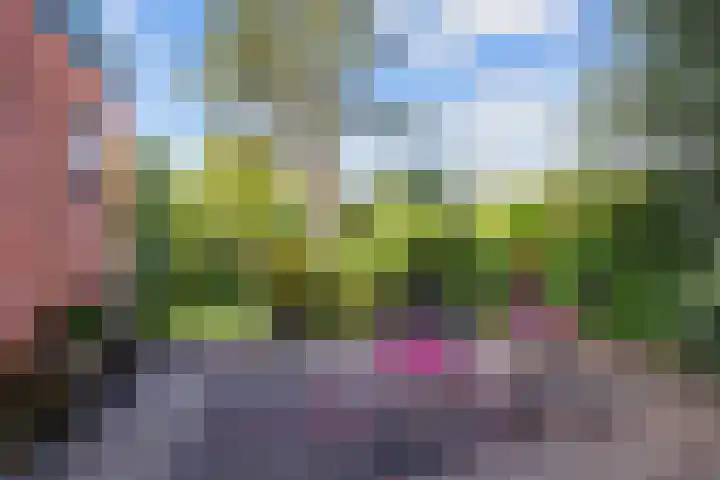 Pastorieweg 16 Warffum thumbnail 50