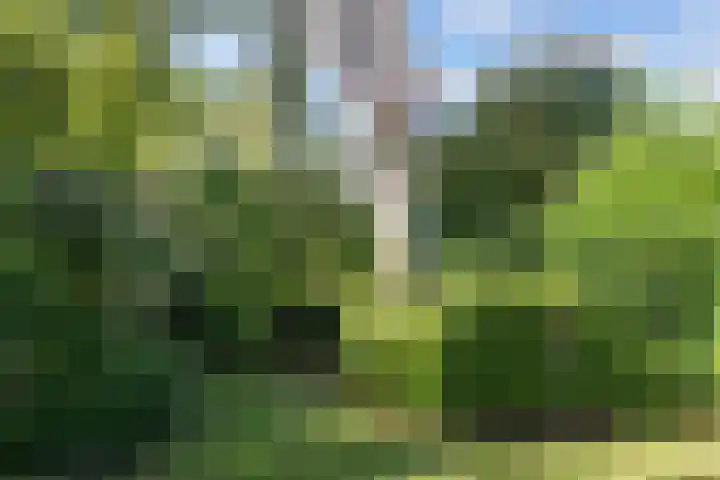 Pastorieweg 16 Warffum thumbnail 51