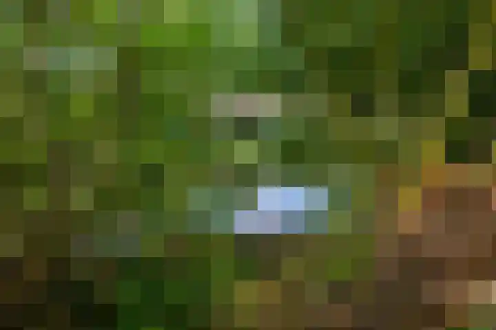 Pastorieweg 16 Warffum thumbnail 53