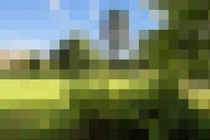 Pastorieweg 16 Warffum thumbnail 55
