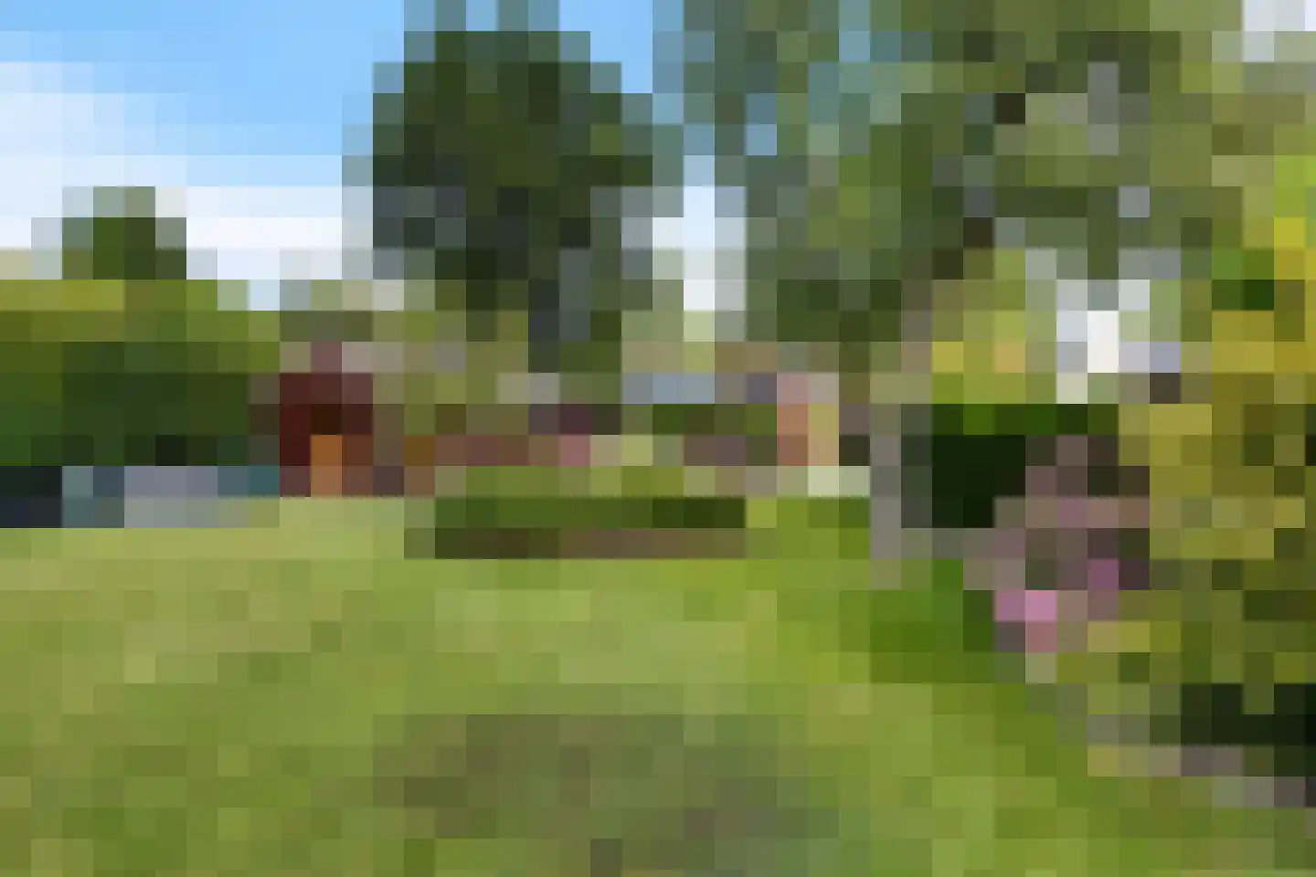 Pastorieweg 30 Warffum thumbnail 10