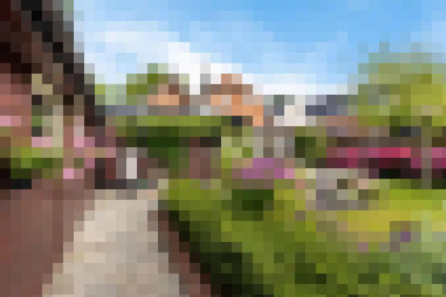 Pastorieweg 30 Warffum thumbnail 11