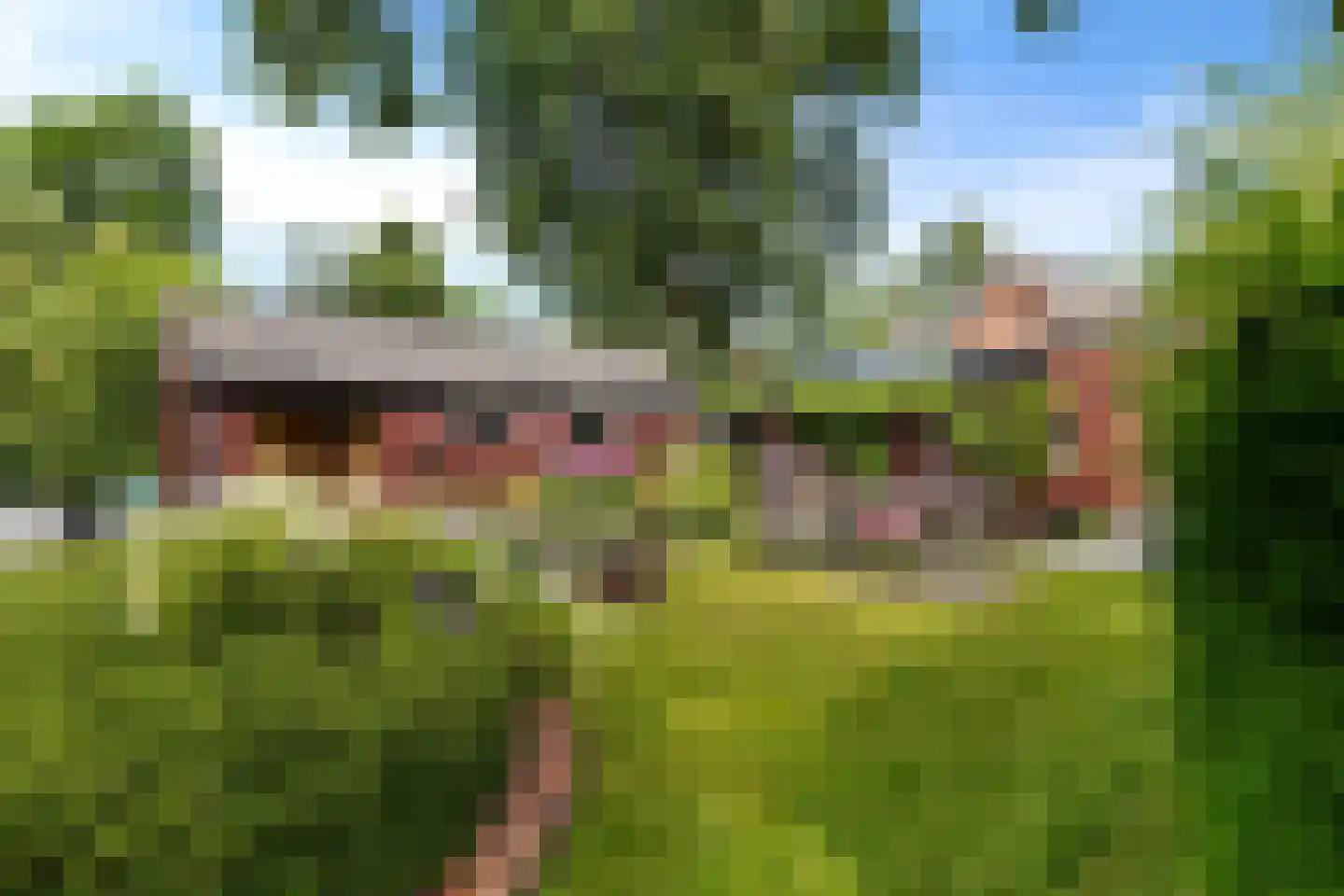 Pastorieweg 30 Warffum thumbnail 12