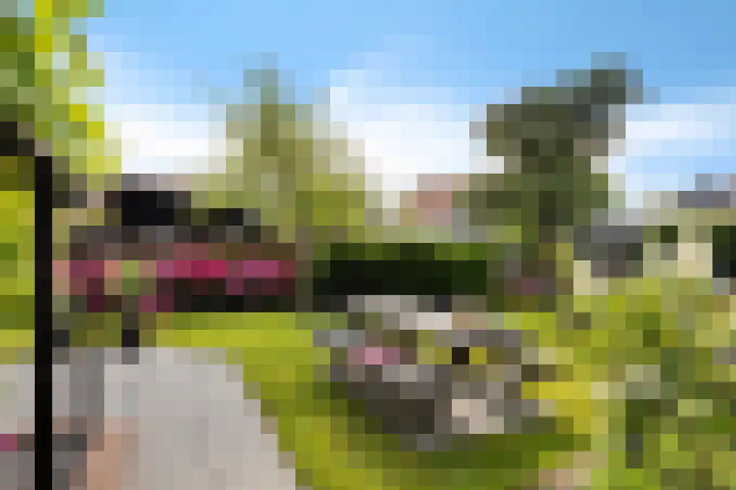 Pastorieweg 30 Warffum thumbnail 13