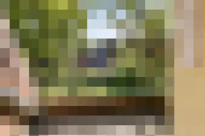 Pastorieweg 6 A Kantens thumbnail 30