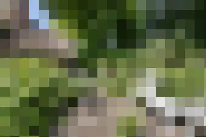 Pastorieweg 6 A Kantens thumbnail 38