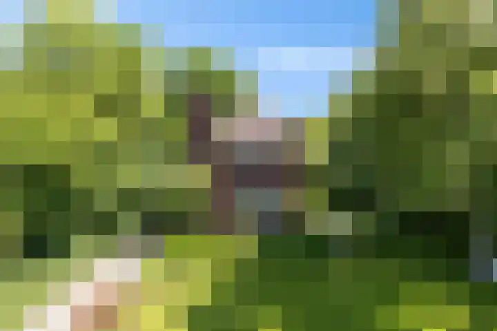 Pastorieweg 6 A Kantens thumbnail 4