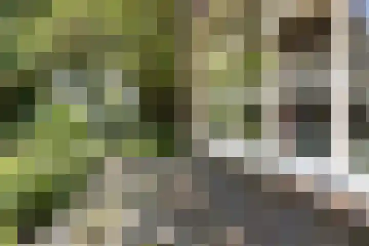 Pastorieweg 6 A Kantens thumbnail 42