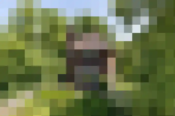 Pastorieweg 6 A Kantens thumbnail 5
