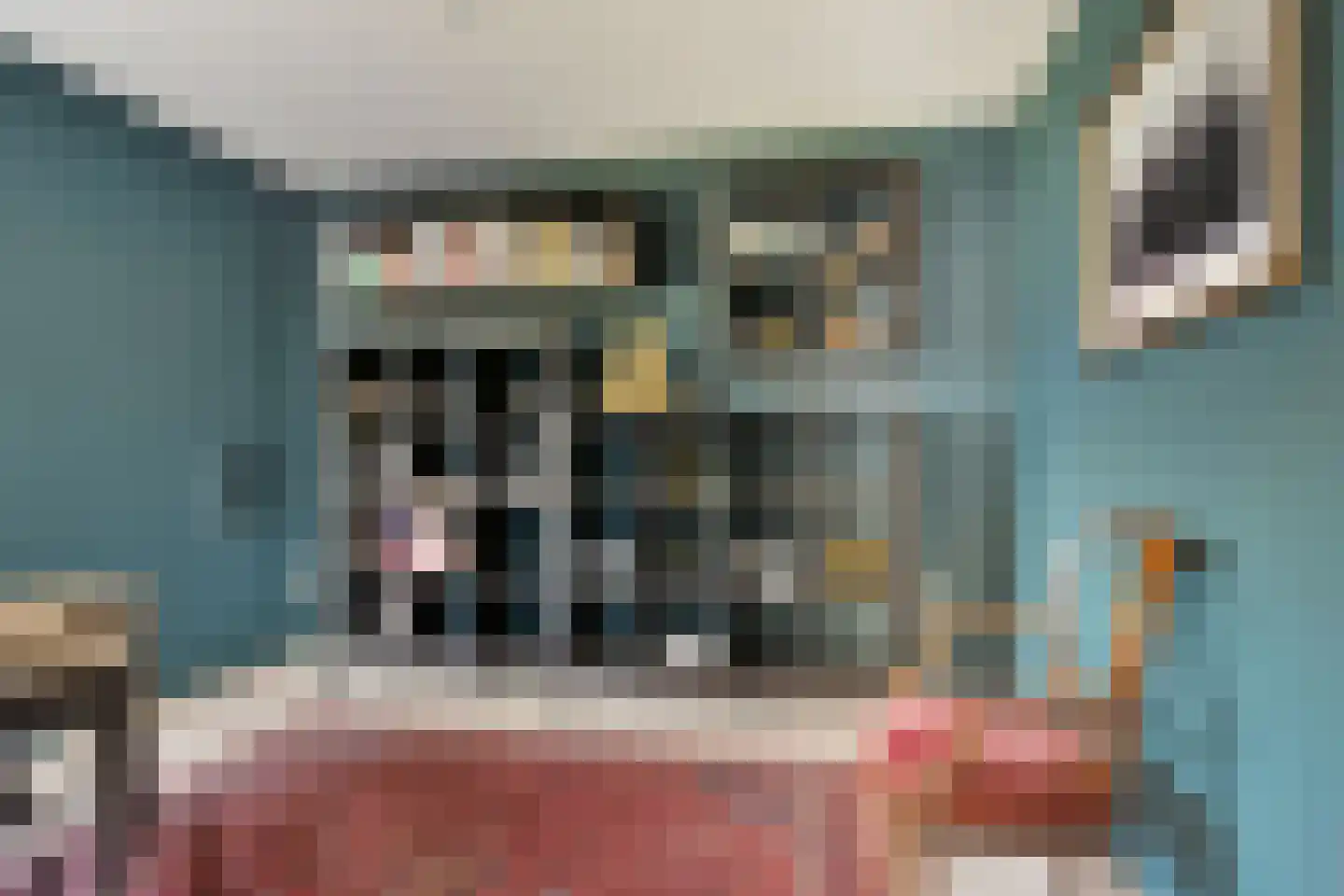 Pastorij 15 Veldhoven thumbnail 13