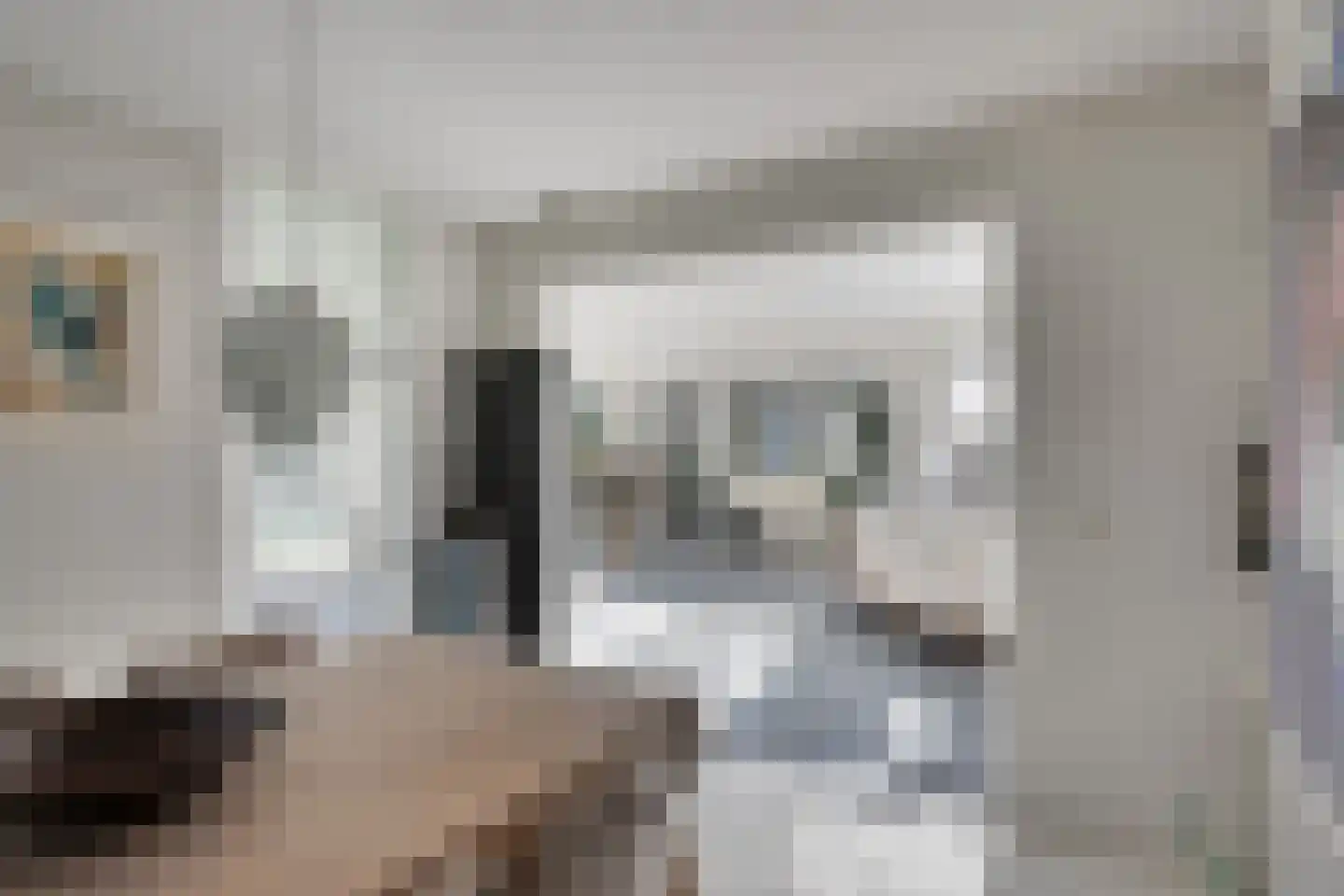 Pastorij 15 Veldhoven thumbnail 19