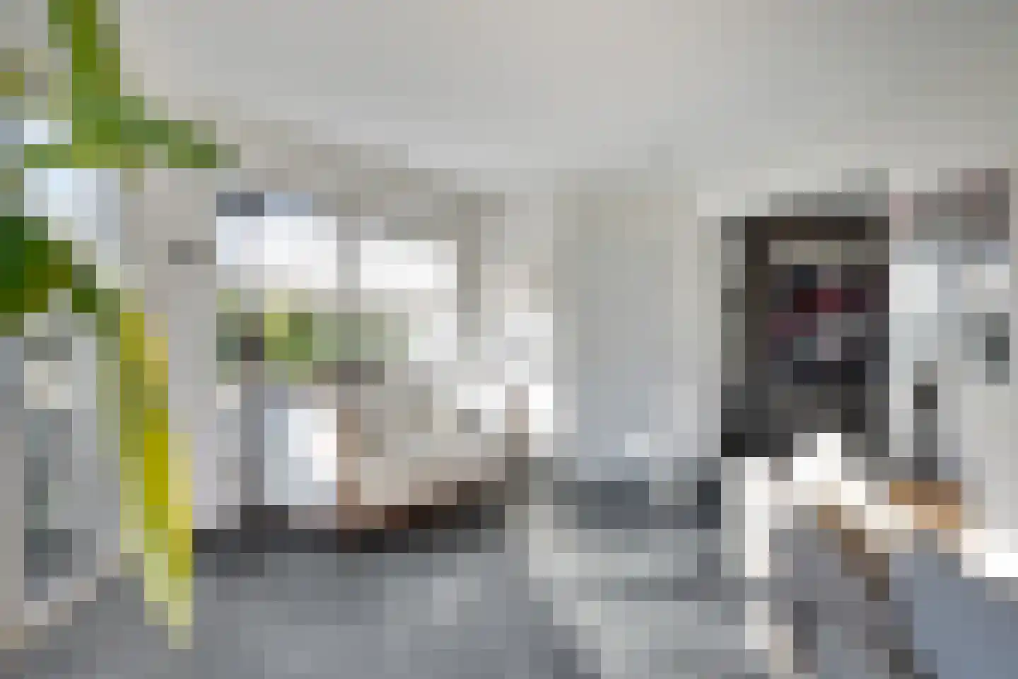 Pastorij 15 Veldhoven thumbnail 23