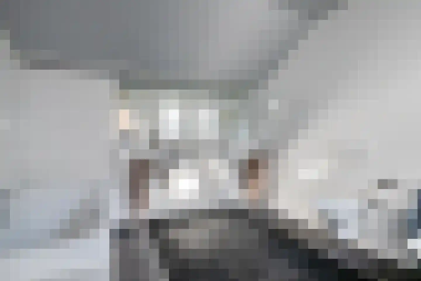 Pastorij 15 Veldhoven thumbnail 30