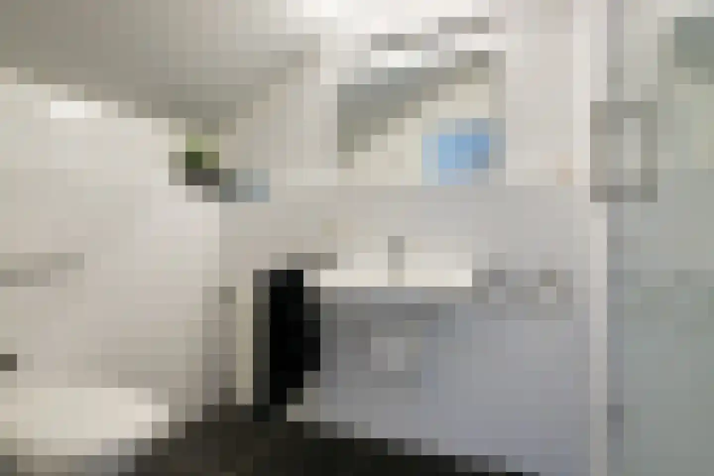 Pastorij 15 Veldhoven thumbnail 38