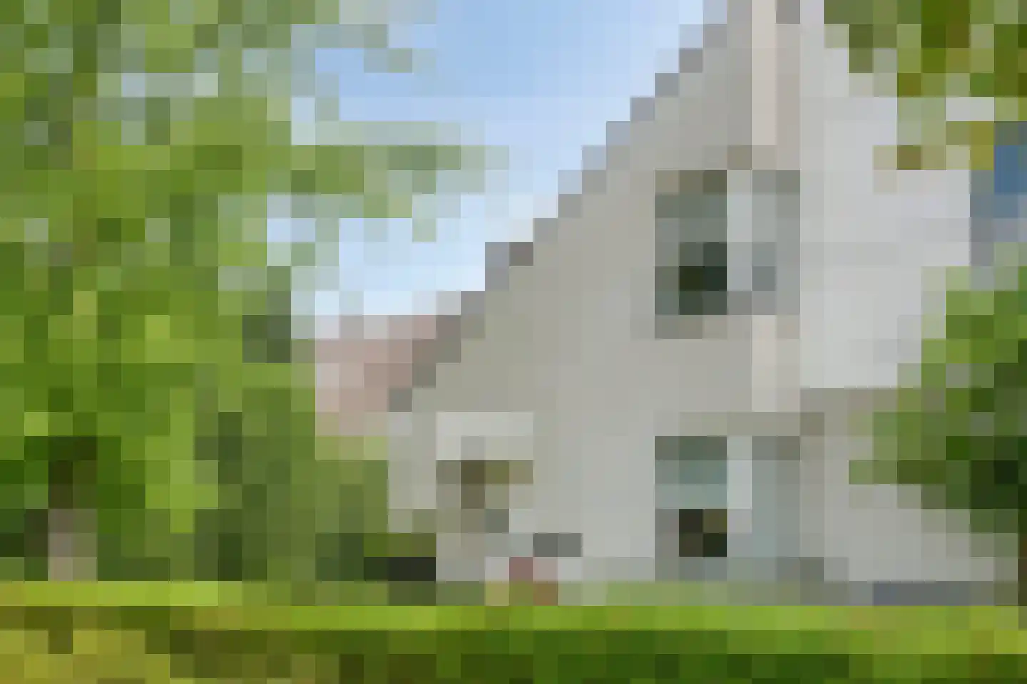 Pastorij 15 Veldhoven thumbnail 55