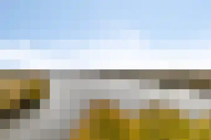 Pastorij 17 Vessem thumbnail 12
