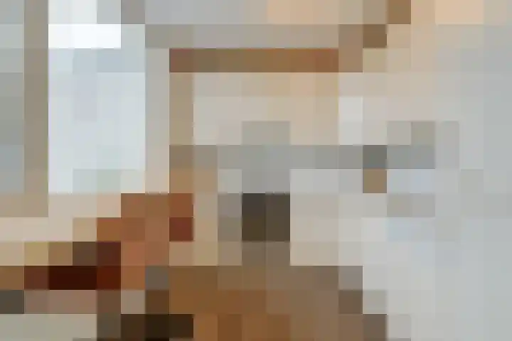 Pastorij 17 Vessem thumbnail 15