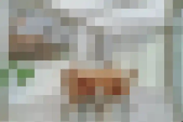 Pastorij 17 Vessem thumbnail 20