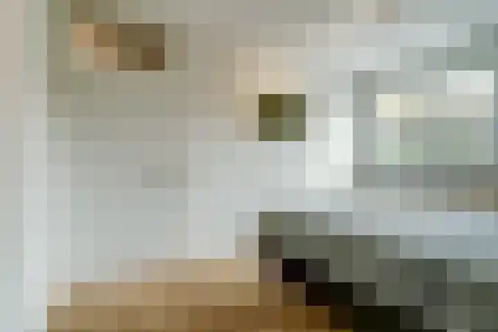 Pastorij 17 Vessem thumbnail 25