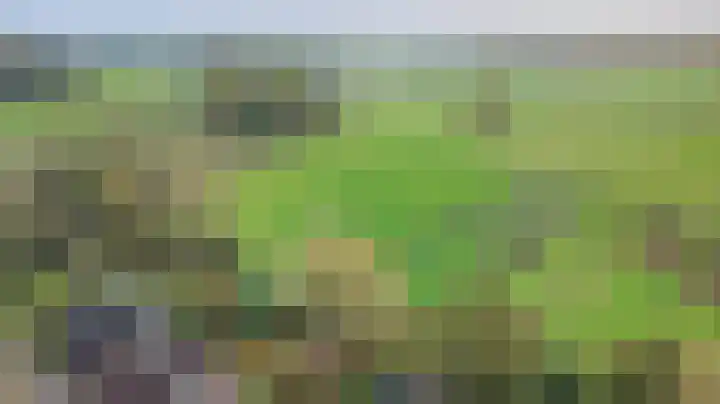 Pastorij 17 Vessem thumbnail 44