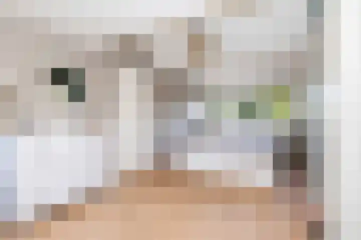 Pastorij 17 Vessem thumbnail 47
