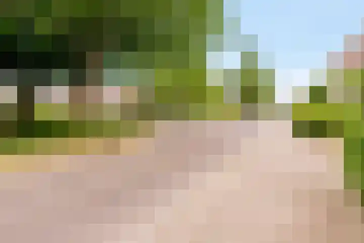 Pastorij 17 Vessem thumbnail 5