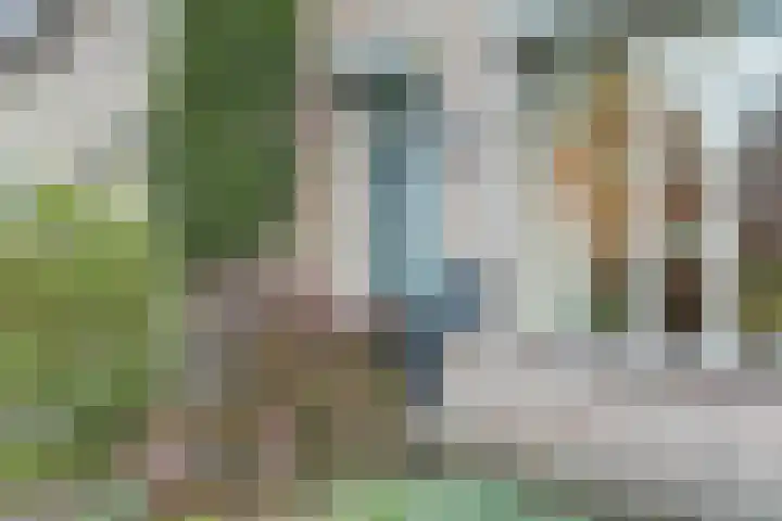 Pastorij 17 Vessem thumbnail 5