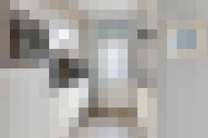 Pastorijakker 30 Den Dungen thumbnail 10