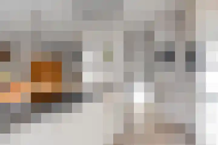 Pastorijakker 30 Den Dungen thumbnail 11
