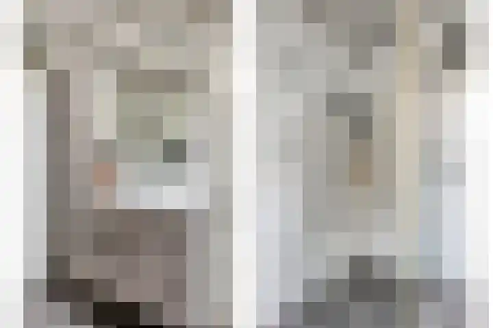 Pastorijakker 30 Den Dungen thumbnail 15