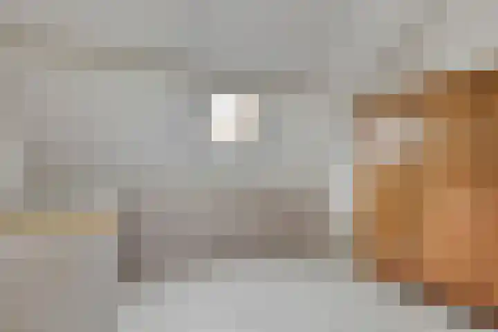 Pastorijakker 30 Den Dungen thumbnail 20