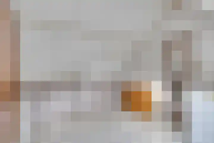 Pastorijakker 30 Den Dungen thumbnail 21