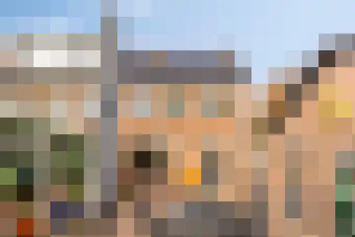 Pastorijakker 30 Den Dungen thumbnail 23