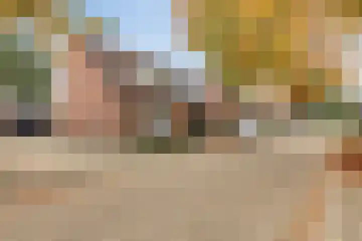 Pastorijakker 30 Den Dungen thumbnail 25