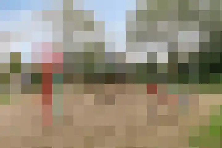 Pastorijakker 30 Den Dungen thumbnail 26