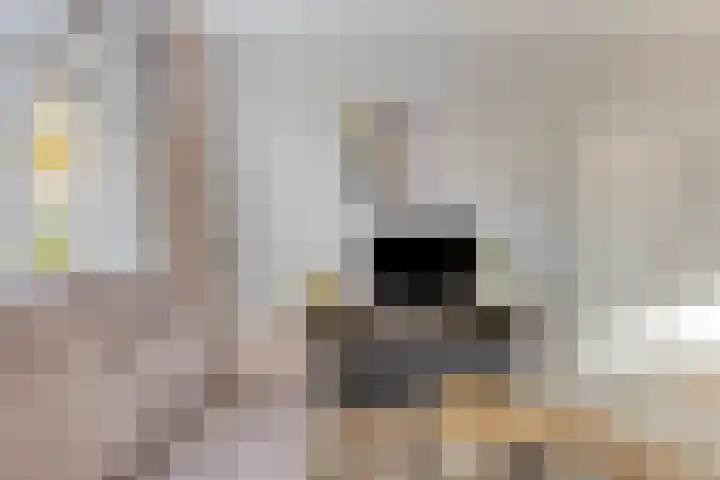 Pastorijakker 30 Den Dungen thumbnail 6