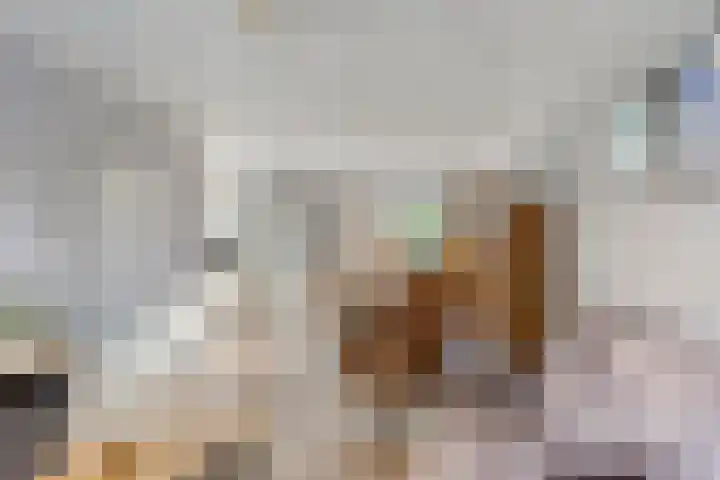 Pastorijakker 30 Den Dungen thumbnail 7
