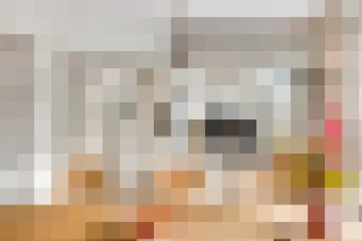 Pastorijakker 30 Den Dungen thumbnail 8