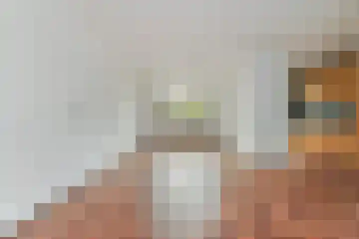Pastorijakker 31 Den Dungen thumbnail 10
