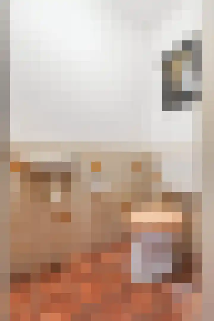 Pastorijakker 31 Den Dungen thumbnail 15