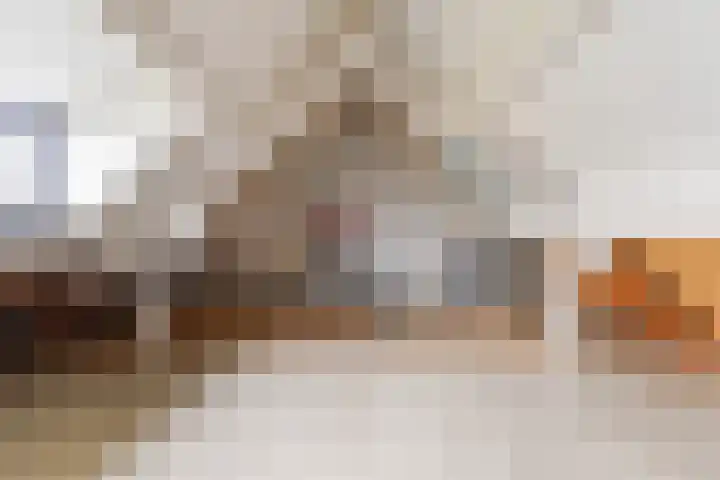 Pastorijakker 31 Den Dungen thumbnail 28