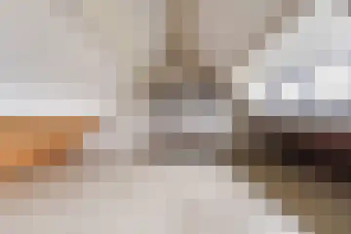 Pastorijakker 31 Den Dungen thumbnail 29