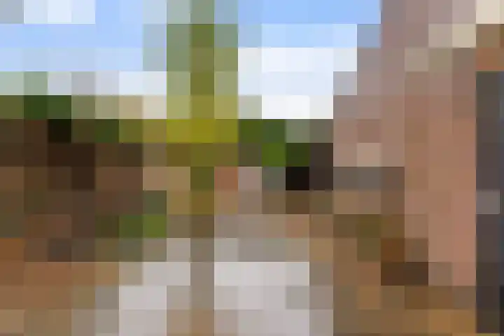 Pastorijakker 31 Den Dungen thumbnail 32